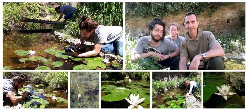 Il Laghetto del Centro di Entomologia - Piombino (LI)